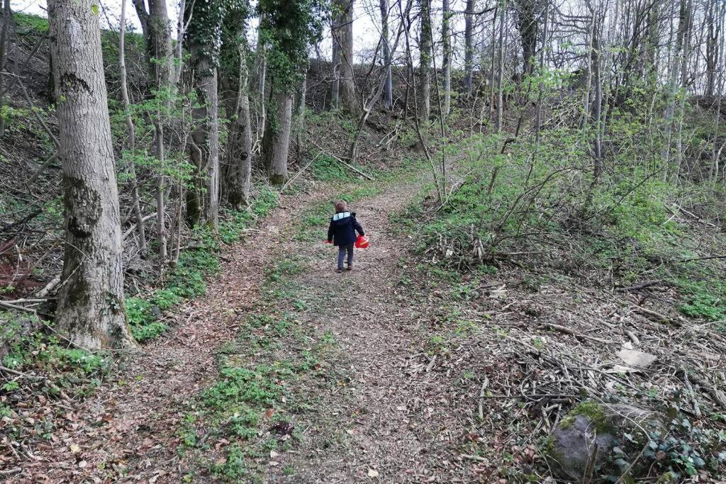 5Sterne Ferienwohnung Im Fachwerk Mit Bergblick In Alleinlage Und Grossem Garten, Infrarotkabine Humberg المظهر الخارجي الصورة