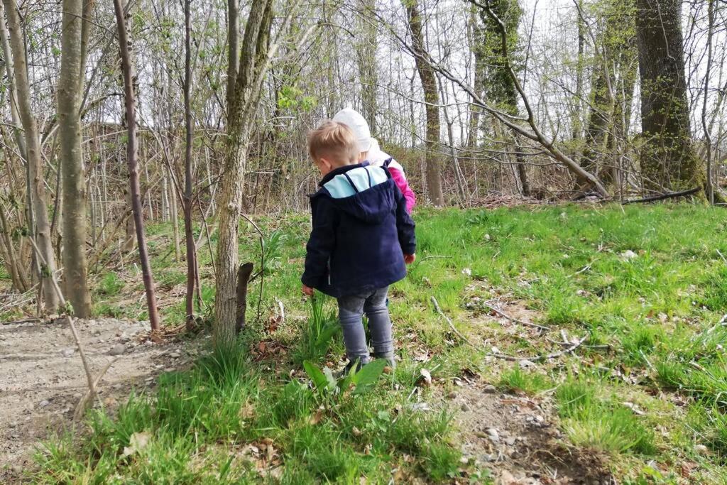 5Sterne Ferienwohnung Im Fachwerk Mit Bergblick In Alleinlage Und Grossem Garten, Infrarotkabine Humberg المظهر الخارجي الصورة