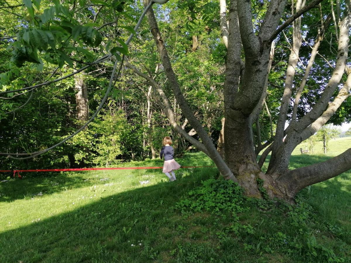 5Sterne Ferienwohnung Im Fachwerk Mit Bergblick In Alleinlage Und Grossem Garten, Infrarotkabine Humberg المظهر الخارجي الصورة
