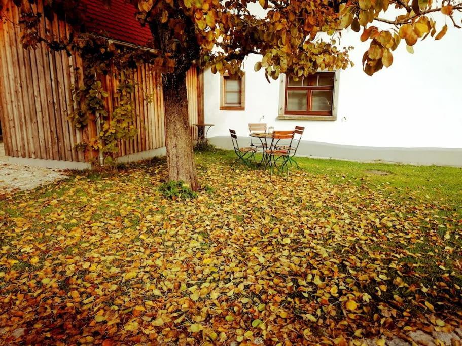 5Sterne Ferienwohnung Im Fachwerk Mit Bergblick In Alleinlage Und Grossem Garten, Infrarotkabine Humberg المظهر الخارجي الصورة