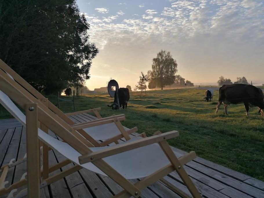 5Sterne Ferienwohnung Im Fachwerk Mit Bergblick In Alleinlage Und Grossem Garten, Infrarotkabine Humberg المظهر الخارجي الصورة