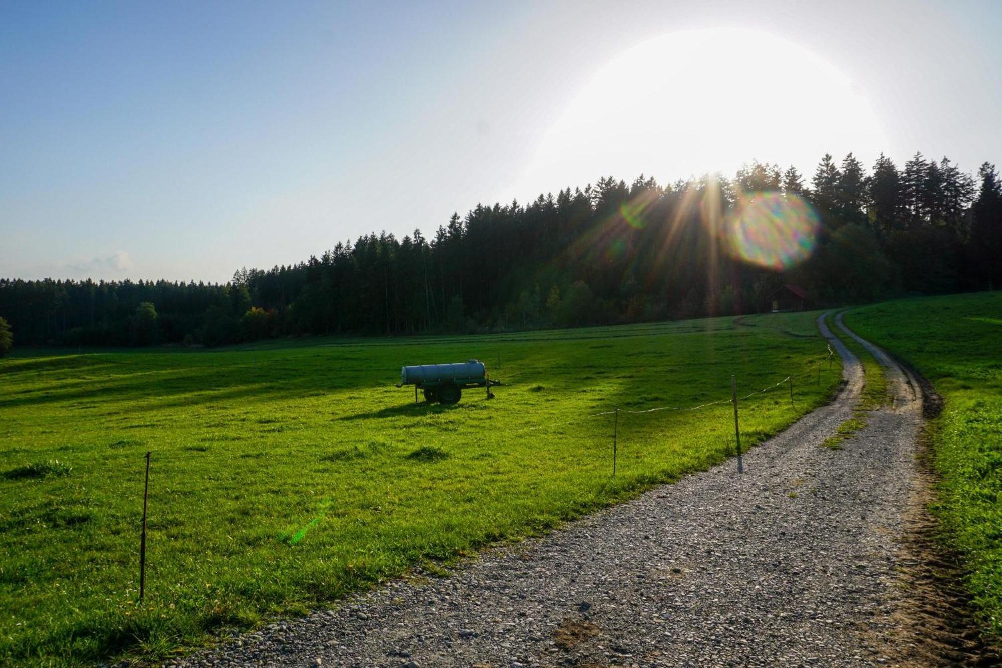 5Sterne Ferienwohnung Im Fachwerk Mit Bergblick In Alleinlage Und Grossem Garten, Infrarotkabine Humberg المظهر الخارجي الصورة