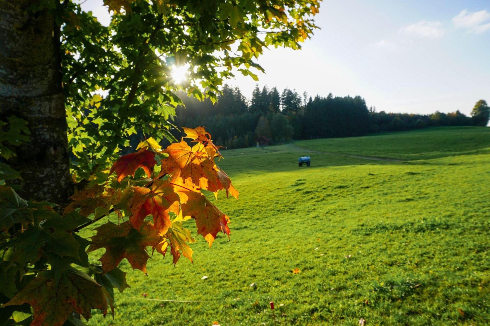 5Sterne Ferienwohnung Im Fachwerk Mit Bergblick In Alleinlage Und Grossem Garten, Infrarotkabine Humberg المظهر الخارجي الصورة